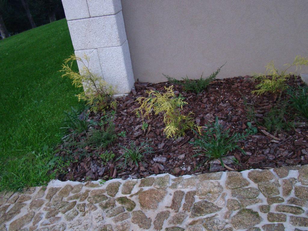 Bosque Da Harmonia Guest House Arco de Baulhe Luaran gambar