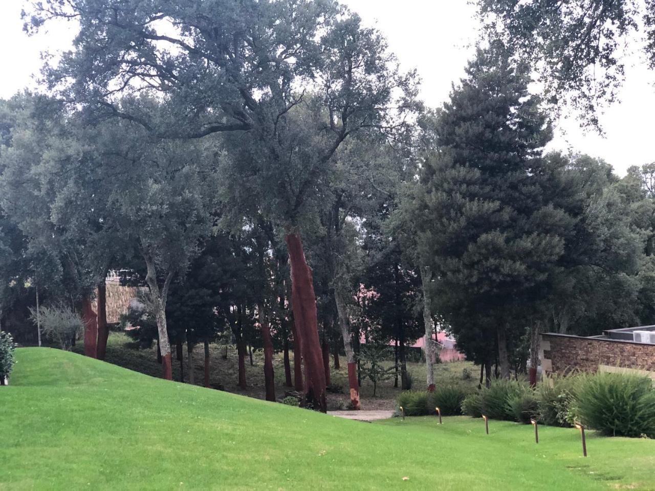 Bosque Da Harmonia Guest House Arco de Baulhe Luaran gambar