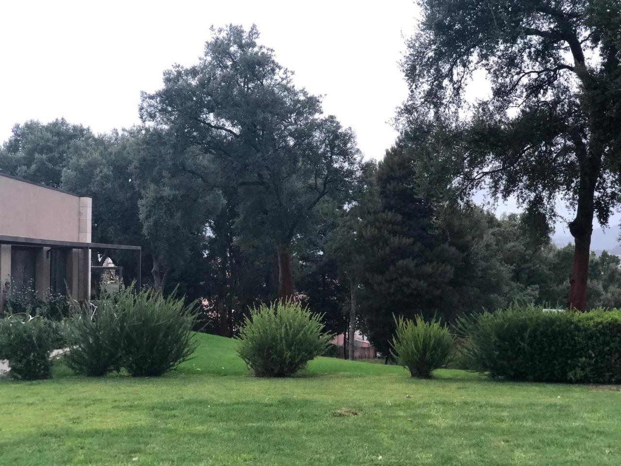 Bosque Da Harmonia Guest House Arco de Baulhe Luaran gambar